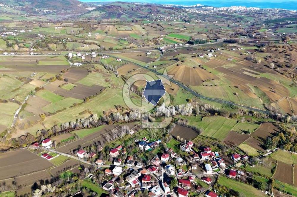 Sarıtaş'ta İmar Sınırında Satılık Tarla