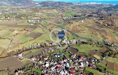 Sarıtaş'ta İmar Sınırında Satılık Tarla