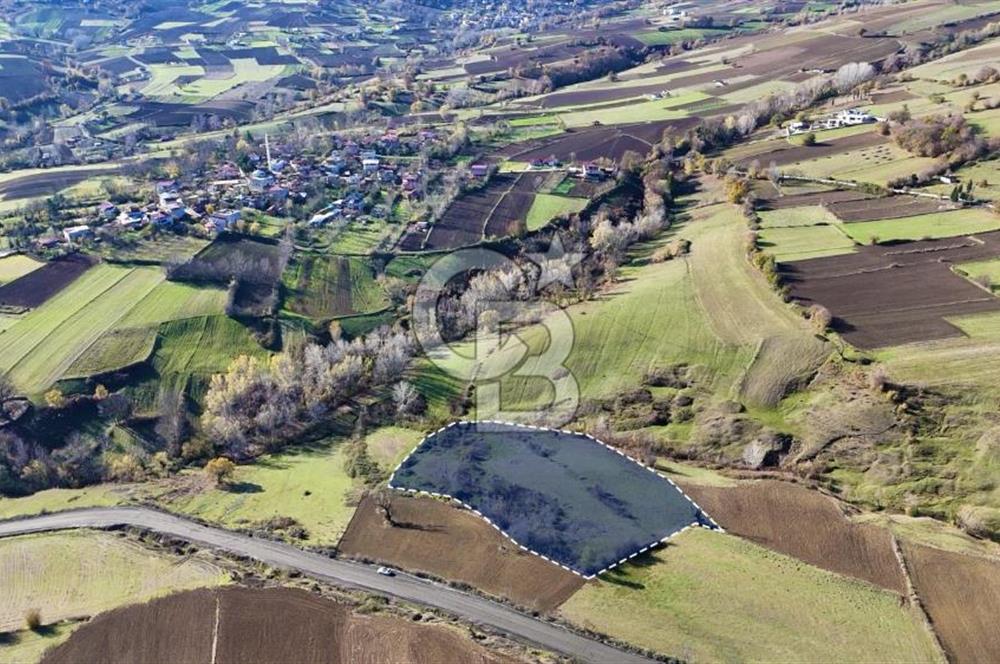 Sarıtaş'ta İmar Sınırında Satılık Tarla