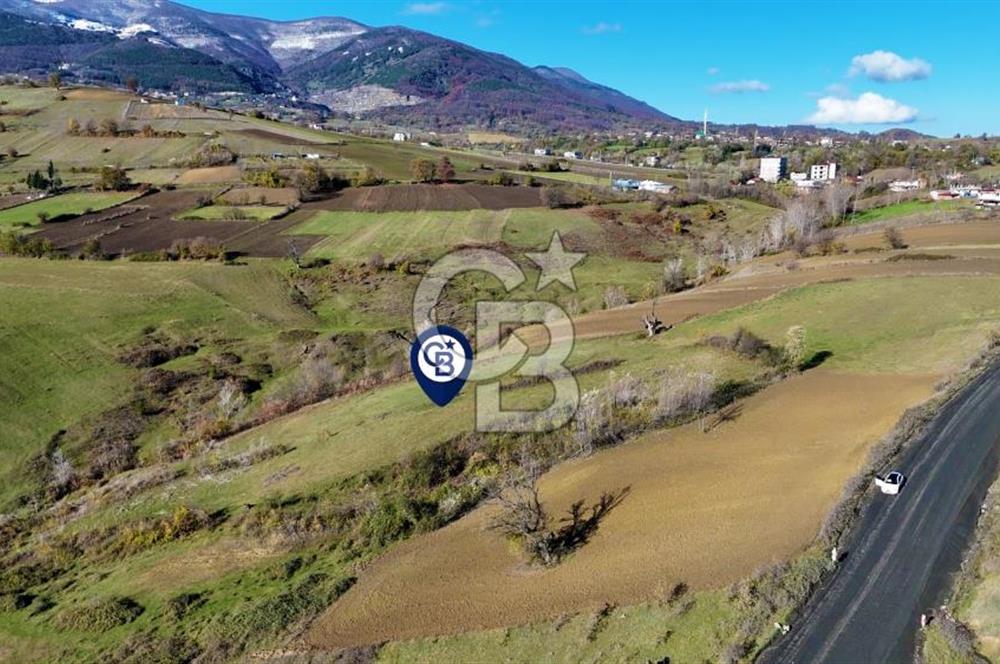 Sarıtaş'ta İmar Sınırında Satılık Tarla