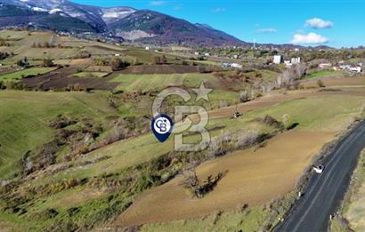 Sarıtaş'ta İmar Sınırında Satılık Tarla