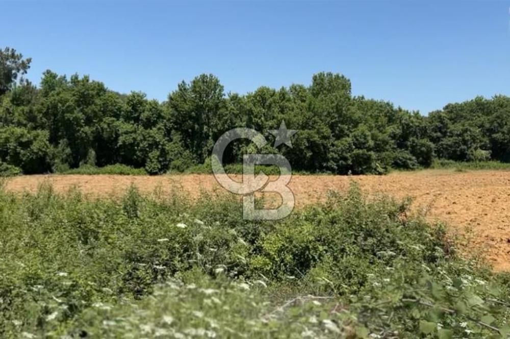 Edirne Keşan Sazlıdere Saros Körfezi Satılık 489 M2 Arsa