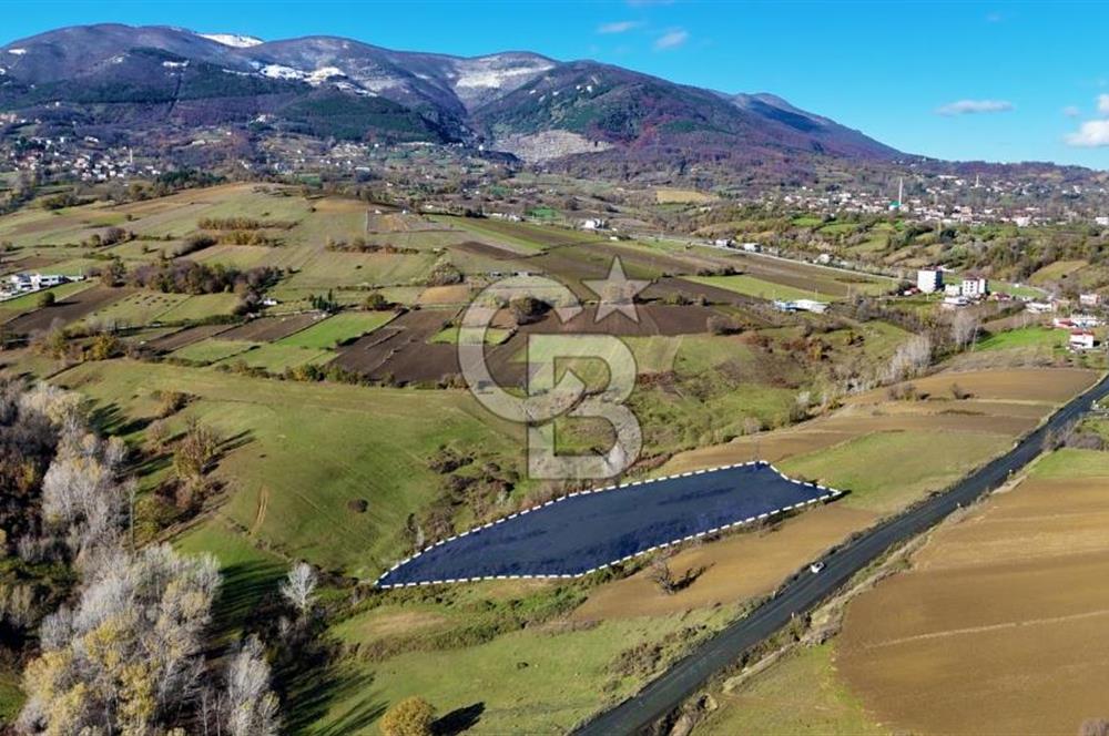 Sarıtaş'ta İmar Sınırında Satılık Tarla