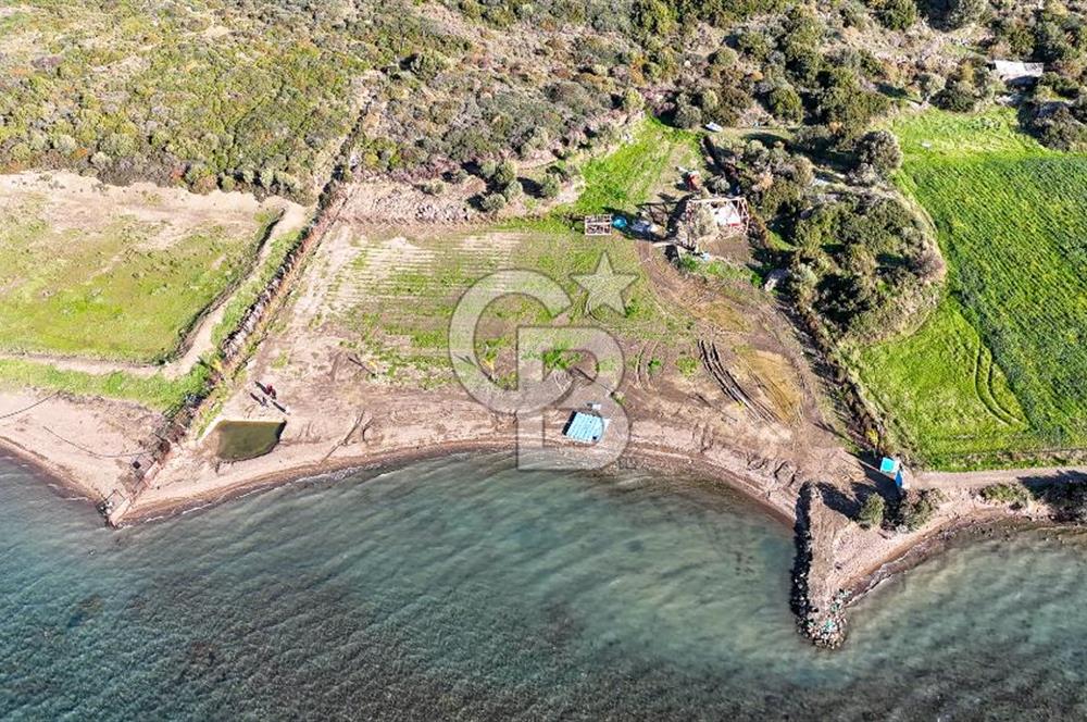 Çeşme Ildır Denize Sıfır Satılık Tarla
