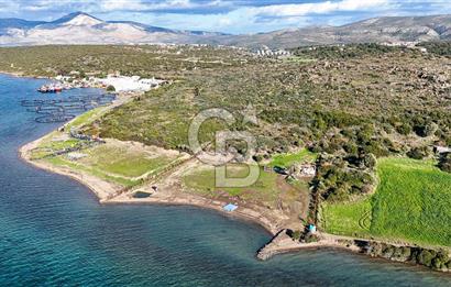 Çeşme Ildır Denize Sıfır Satılık Tarla