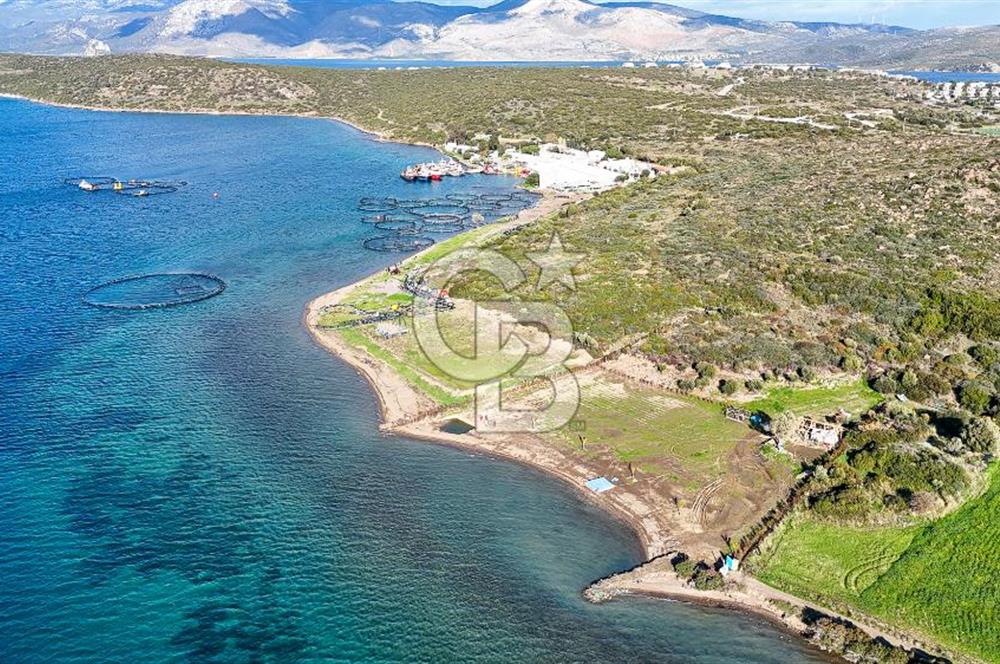 Çeşme Ildır Denize Sıfır Satılık Tarla