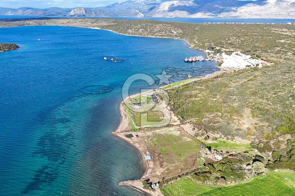 Çeşme Ildır Denize Sıfır Satılık Tarla