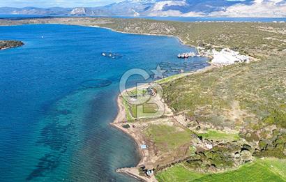 Çeşme Ildır Denize Sıfır Satılık Tarla