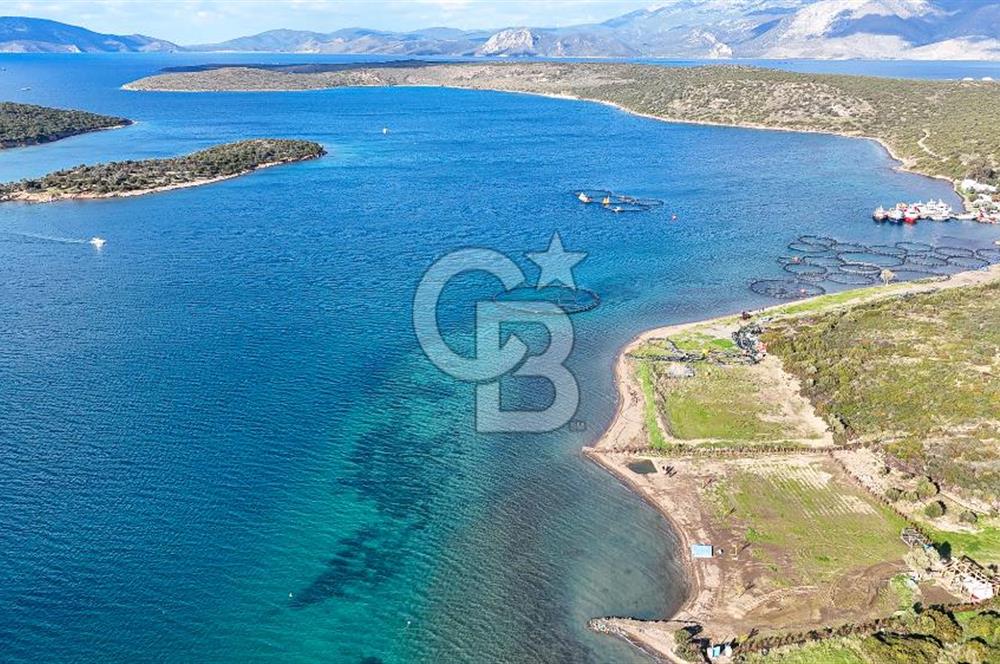 Çeşme Ildır Denize Sıfır Satılık Tarla