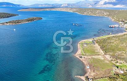 Çeşme Ildır Denize Sıfır Satılık Tarla