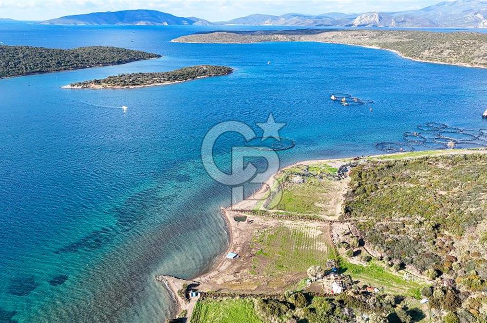 Çeşme Ildır Denize Sıfır Satılık Tarla