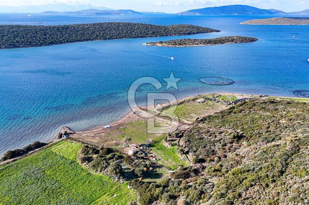 Çeşme Ildır Denize Sıfır Satılık Tarla