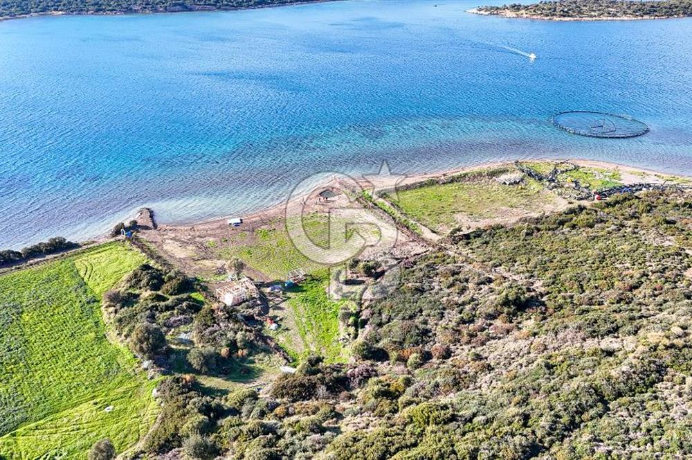 Çeşme Ildır Denize Sıfır Satılık Tarla