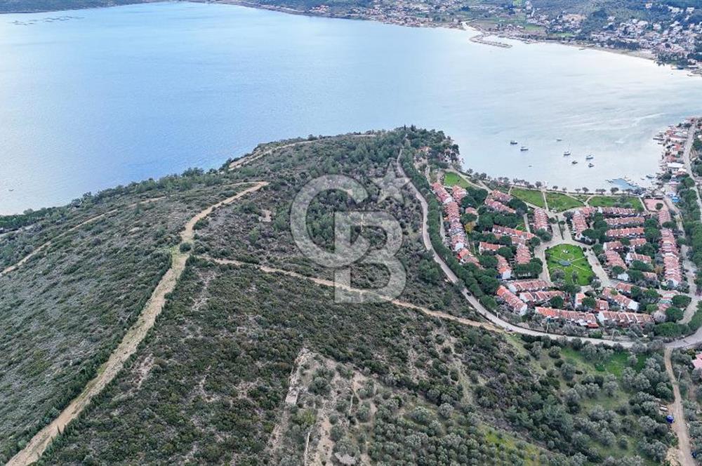  İzmir Urla Balıklıova Hisse Tapu Satılık Tarla