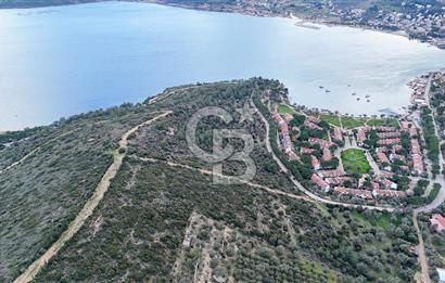  İzmir Urla Balıklıova Hisse Tapu Satılık Tarla