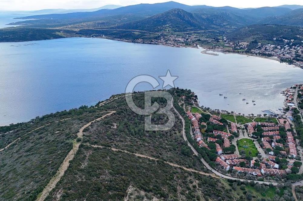  İzmir Urla Balıklıova Hisse Tapu Satılık Tarla