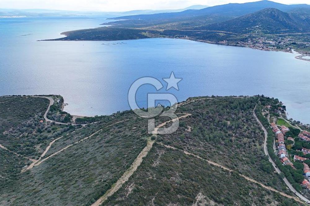  İzmir Urla Balıklıova Hisse Tapu Satılık Tarla