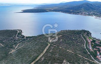  İzmir Urla Balıklıova Hisse Tapu Satılık Tarla