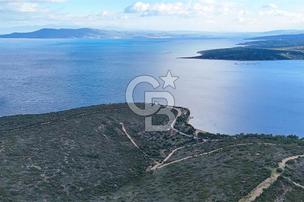  İzmir Urla Balıklıova Hisse Tapu Satılık Tarla