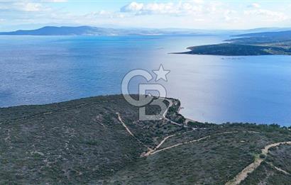  İzmir Urla Balıklıova Hisse Tapu Satılık Tarla