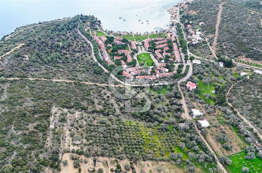  İzmir Urla Balıklıova Hisse Tapu Satılık Tarla