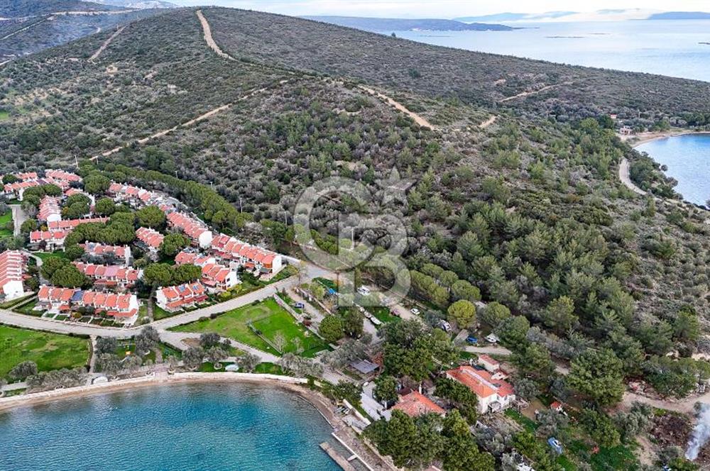  İzmir Urla Balıklıova Hisse Tapu Satılık Tarla