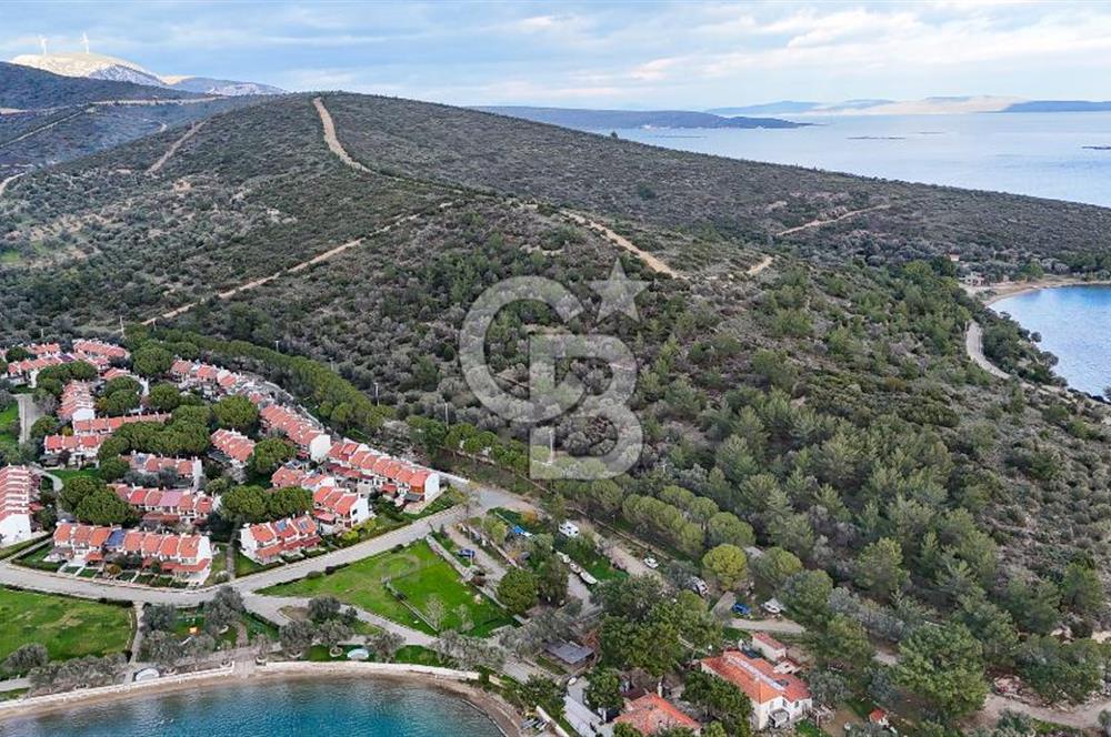  İzmir Urla Balıklıova Hisse Tapu Satılık Tarla