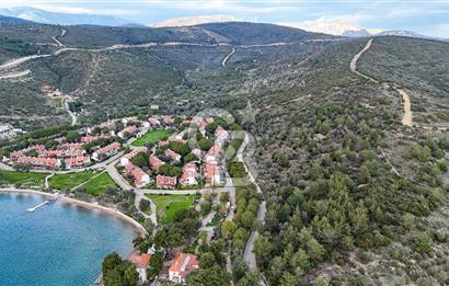  İzmir Urla Balıklıova Hisse Tapu Satılık Tarla