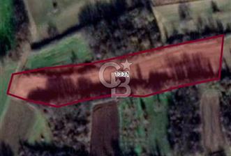 TEKİRDAĞ MURATLI' DA 4.564 M2 YATIRIMLIK TARLA - 3 - 325587