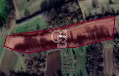 TEKİRDAĞ MURATLI' DA 4.564 M2 YATIRIMLIK TARLA