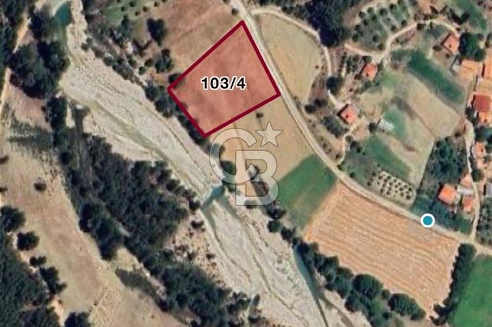 CB GİZ'DEN KAŞ ÇAMLIOVA'DA SATILIK 4240 M2 TARLA