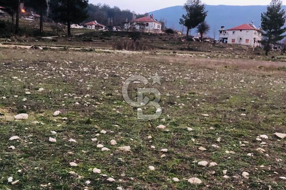 CB GİZ'DEN KAŞ ÇAMLIOVA'DA SATILIK 4240 M2 TARLA