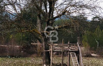 CB GİZ'DEN KAŞ ÇAMLIOVA'DA SATILIK 4240 M2 TARLA