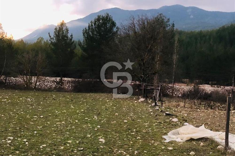 CB GİZ'DEN KAŞ ÇAMLIOVA'DA SATILIK 4240 M2 TARLA