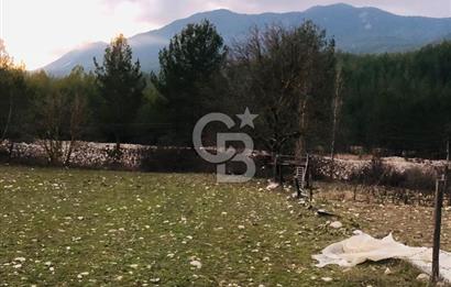 CB GİZ'DEN KAŞ ÇAMLIOVA'DA SATILIK 4240 M2 TARLA