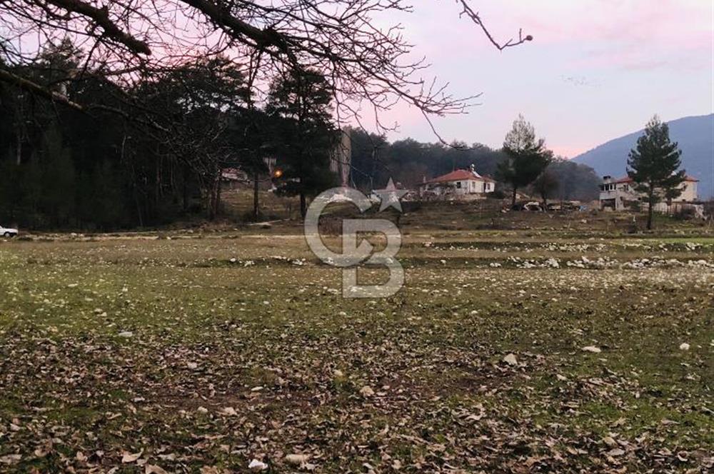 CB GİZ'DEN KAŞ ÇAMLIOVA'DA SATILIK 4240 M2 TARLA