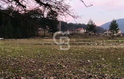 CB GİZ'DEN KAŞ ÇAMLIOVA'DA SATILIK 4240 M2 TARLA