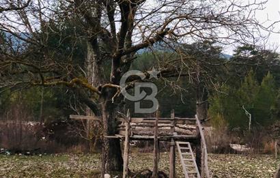 CB GİZ'DEN KAŞ ÇAMLIOVA'DA SATILIK 4240 M2 TARLA