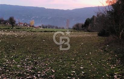 CB GİZ'DEN KAŞ ÇAMLIOVA'DA SATILIK 4240 M2 TARLA