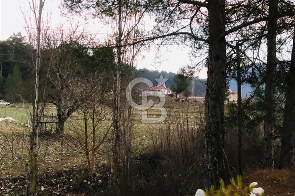 CB GİZ'DEN KAŞ ÇAMLIOVA'DA SATILIK 4240 M2 TARLA