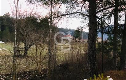 CB GİZ'DEN KAŞ ÇAMLIOVA'DA SATILIK 4240 M2 TARLA