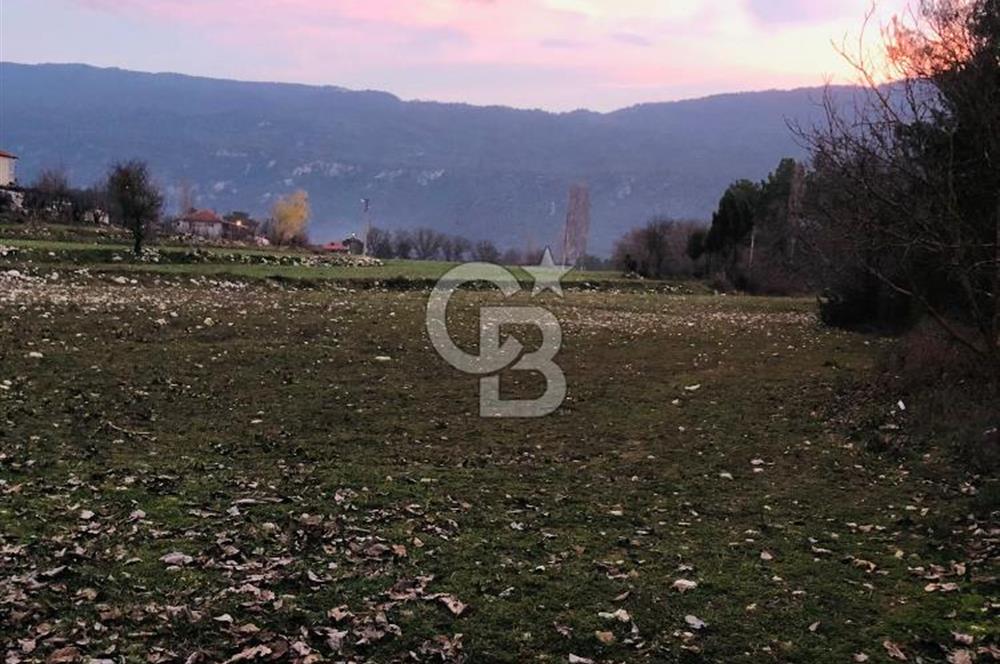 CB GİZ'DEN KAŞ ÇAMLIOVA'DA SATILIK 4240 M2 TARLA