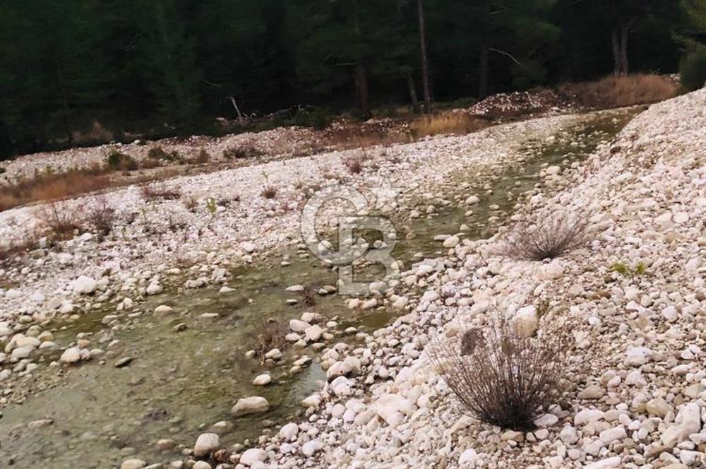 CB GİZ'DEN KAŞ ÇAMLIOVA'DA SATILIK 4240 M2 TARLA