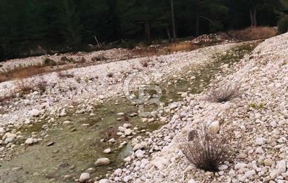 CB GİZ'DEN KAŞ ÇAMLIOVA'DA SATILIK 4240 M2 TARLA