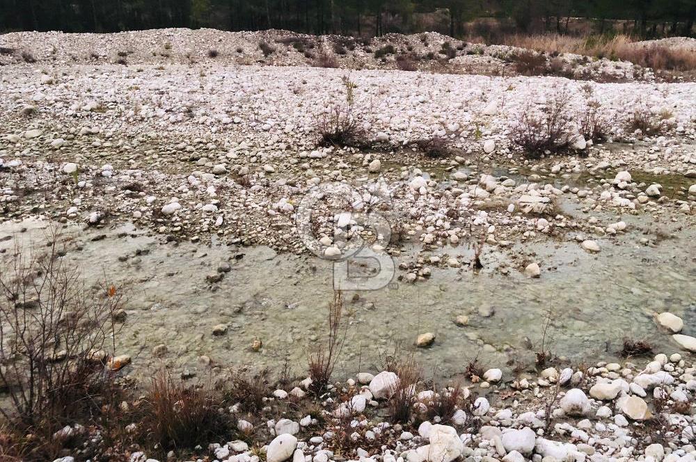 CB GİZ'DEN KAŞ ÇAMLIOVA'DA SATILIK 4240 M2 TARLA