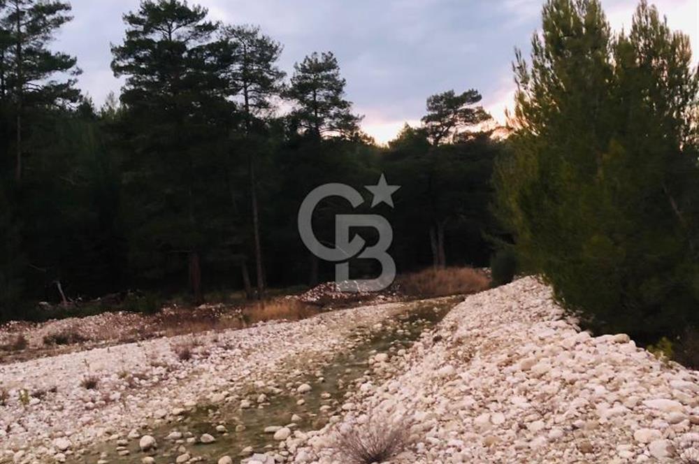 CB GİZ'DEN KAŞ ÇAMLIOVA'DA SATILIK 4240 M2 TARLA