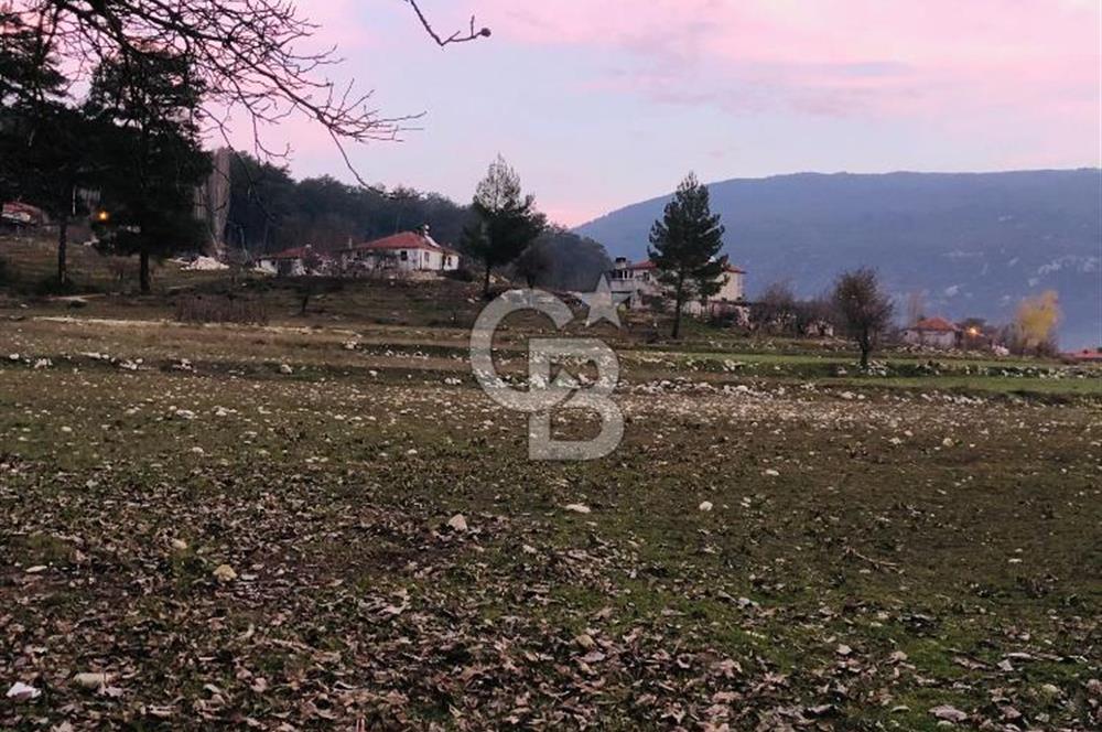 CB GİZ'DEN KAŞ ÇAMLIOVA'DA SATILIK 4240 M2 TARLA