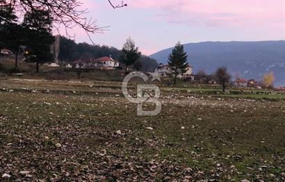 CB GİZ'DEN KAŞ ÇAMLIOVA'DA SATILIK 4240 M2 TARLA