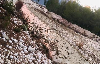 CB GİZ'DEN KAŞ ÇAMLIOVA'DA SATILIK 4240 M2 TARLA