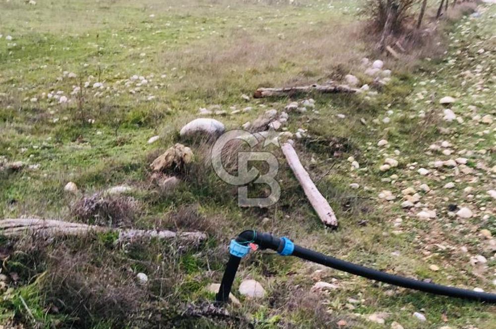 CB GİZ'DEN KAŞ ÇAMLIOVA'DA SATILIK 4240 M2 TARLA